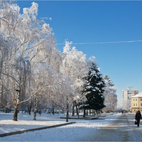 Зимно утро