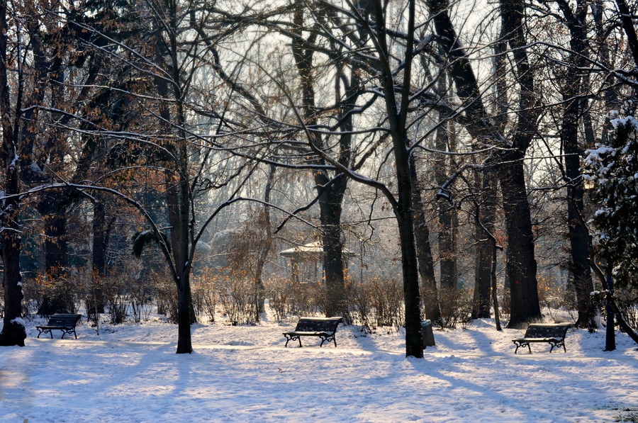 В парка-1