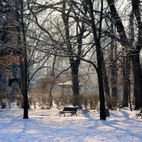В парка-1