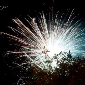 New year fireworks