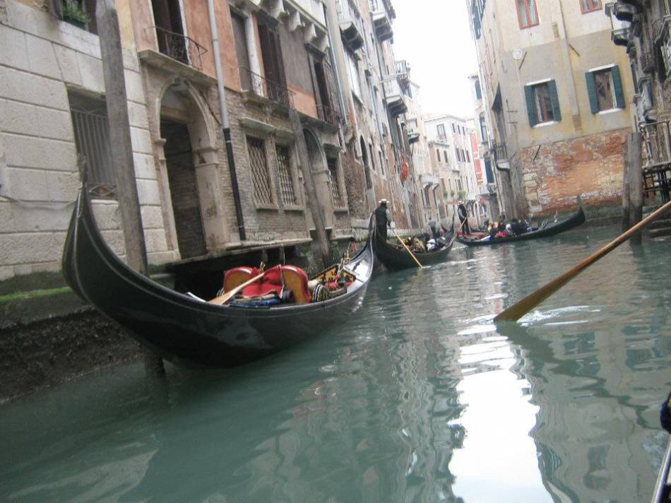 veneciq