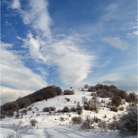 зимно