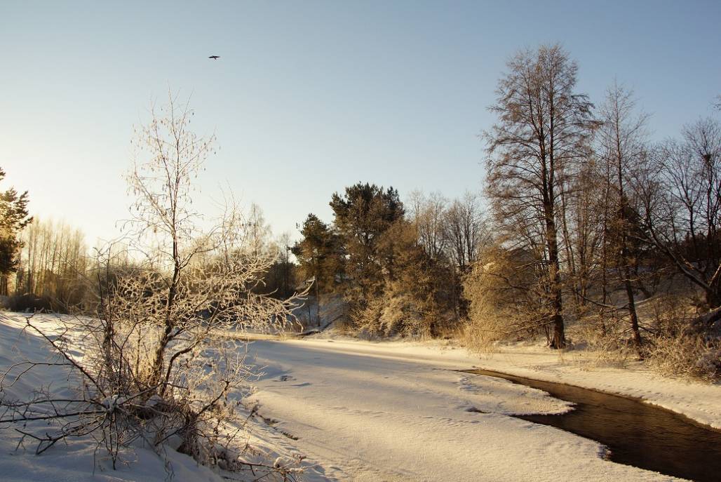 Зимний пейзаж