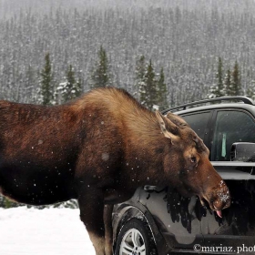 Fun_Canadian Carwash