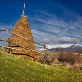 Зиза менпас