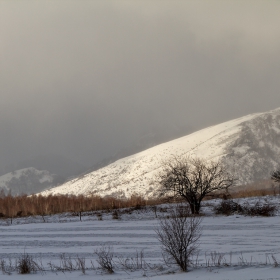 Зимни ФОТО разходки