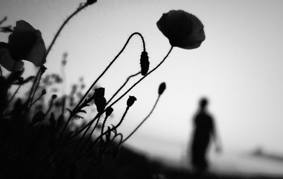 Early Morning