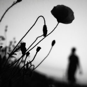 Early Morning