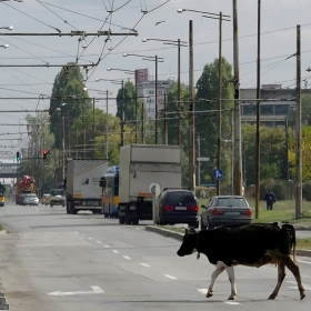 В една европейска столица