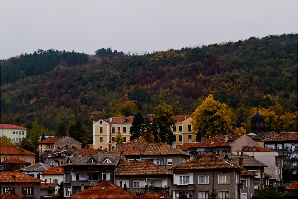 Dryanovo/Дряново