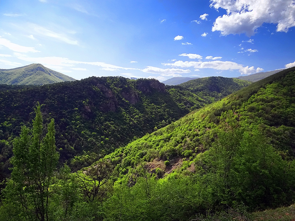 Някъде из България