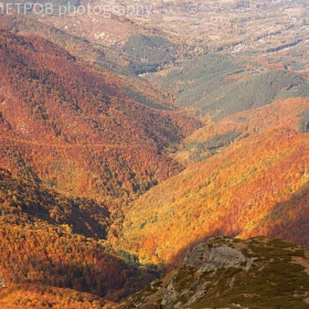 Есенни гори, резерват Джендема