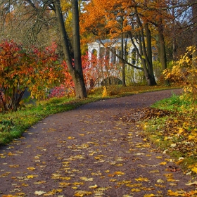 В осеннем парке