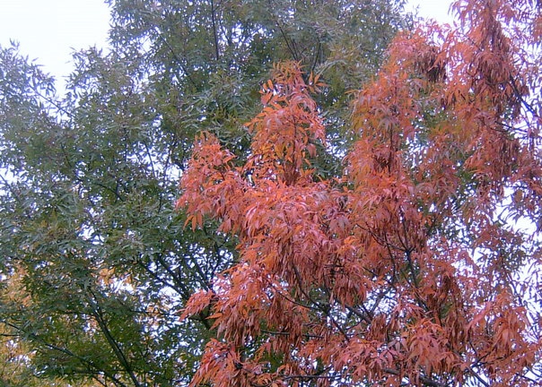 ESEN 13 - SOFIA - 3