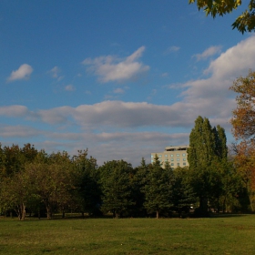 Последните, зелени, есенни дни