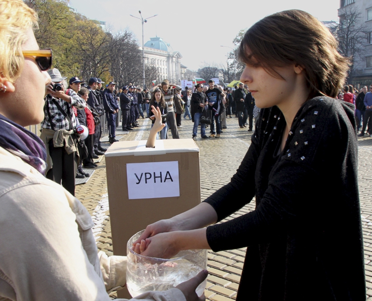 Гласуване на 10 ноември 2013