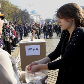 Гласуване на 10 ноември 2013
