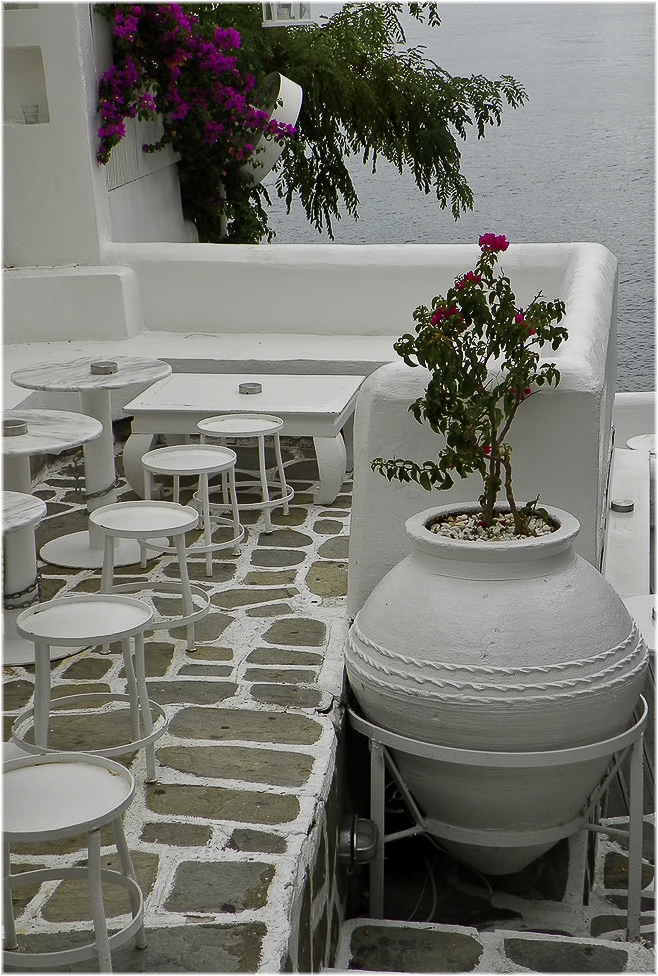 White ... !