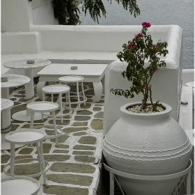 White ... !