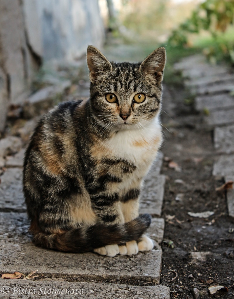 Ето на това се казва eye contact