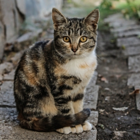 Ето на това се казва eye contact