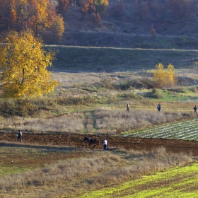 Есенно ежедневие на полето