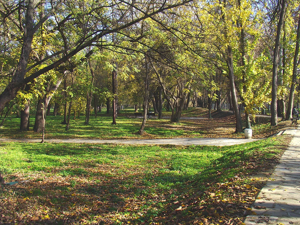 Есента в парка