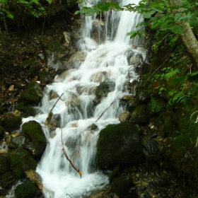 Малък горски водопад