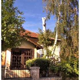 Пречупена бреза