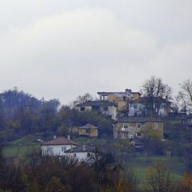 Село Дядовци