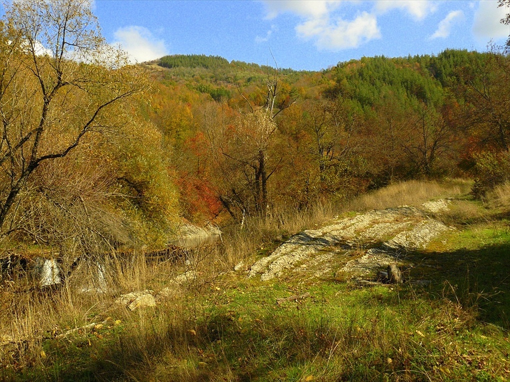 Есен в Еленският Балкан