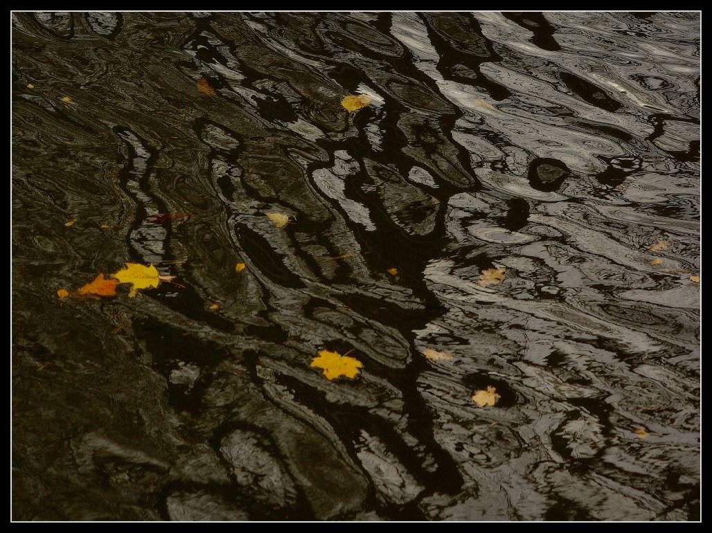 Осенние воды.