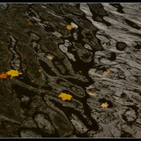 Осенние воды.
