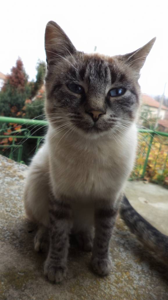 Катрин :))))) :*