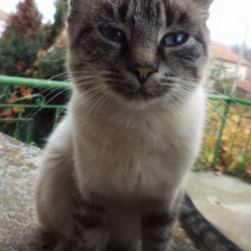 Катрин :))))) :*