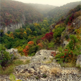 Мъглива есен в каньона