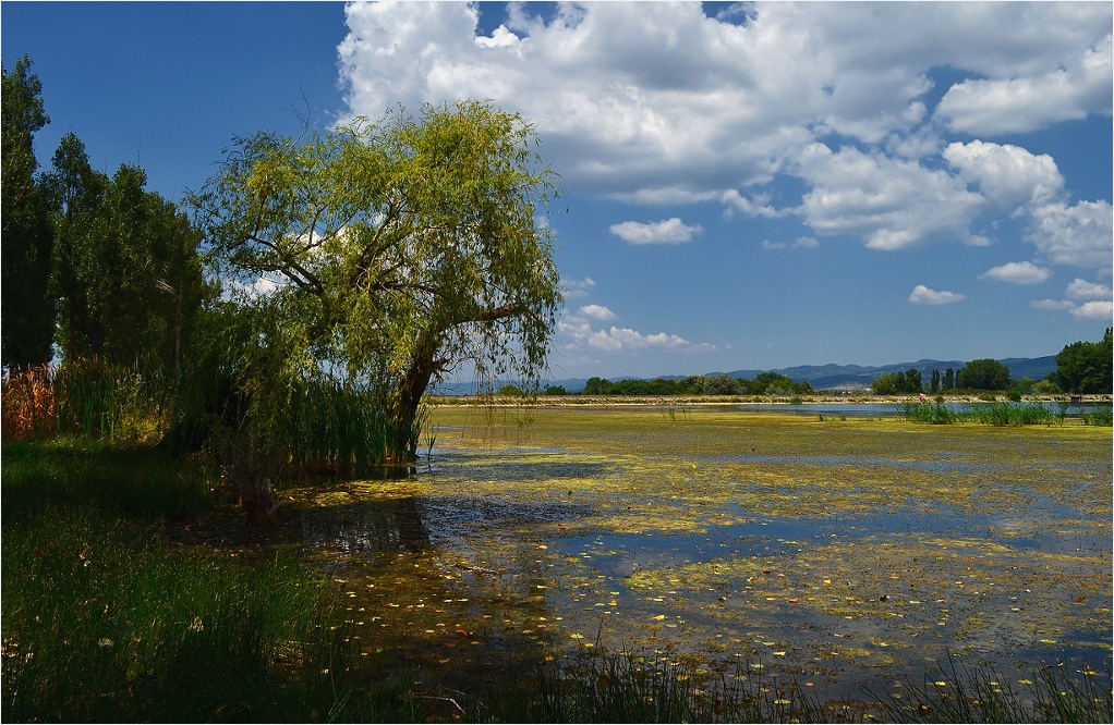 край гьола