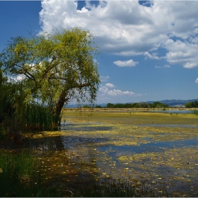 край гьола