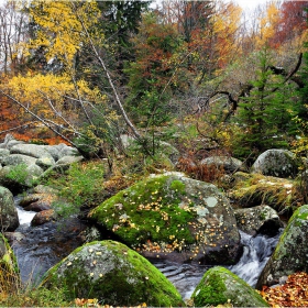 Есенни морени