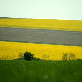 Черга
