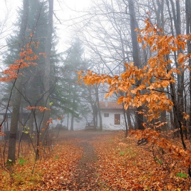 Есенно