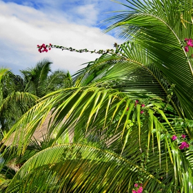 Cozumel, Mexico