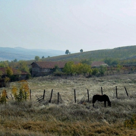 Пасторално