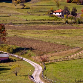 Край Арда.