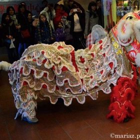 Chinese Lunar New Year - The Year of the Snake