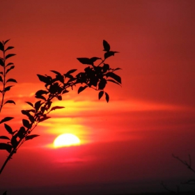 ..red sunset.. by the train..