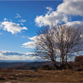 Самотно