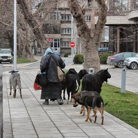 Варна ,наши дни....