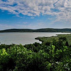Сребърна