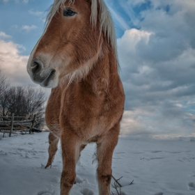 Снимка без име